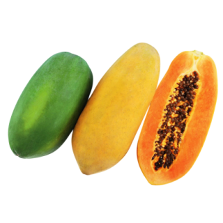 EXP-15 Papaya From Known You Seed (India)-KYI
